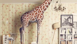 giraffe-stößt-mit-dem-kopf-durch-die-decke