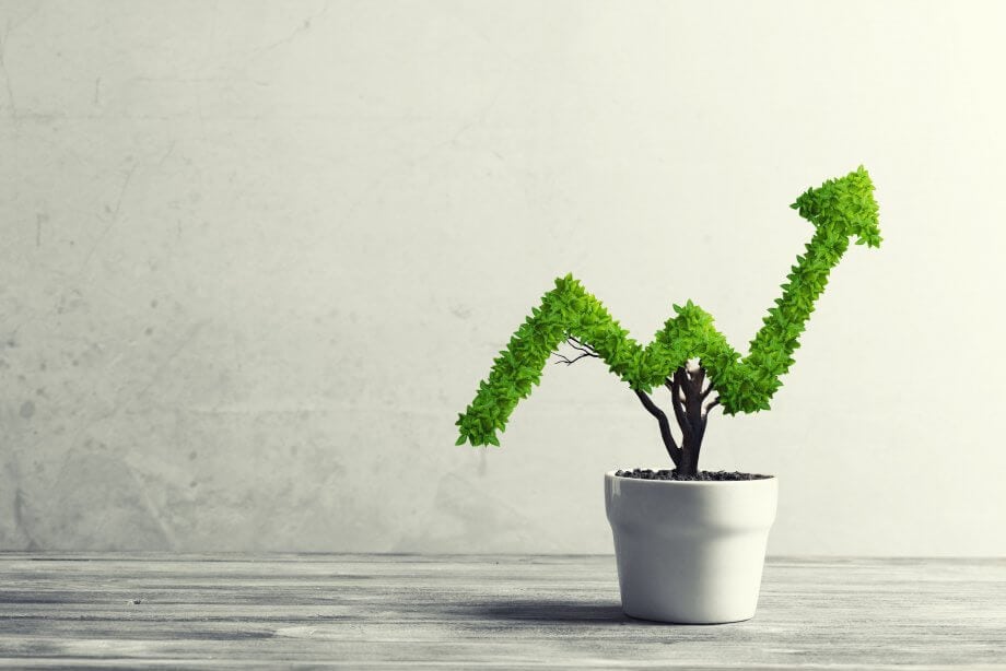 Incrementum Digital & Physical Gold Fonds Kleine Pflanze in Topfform, die wie ein Graph wächst