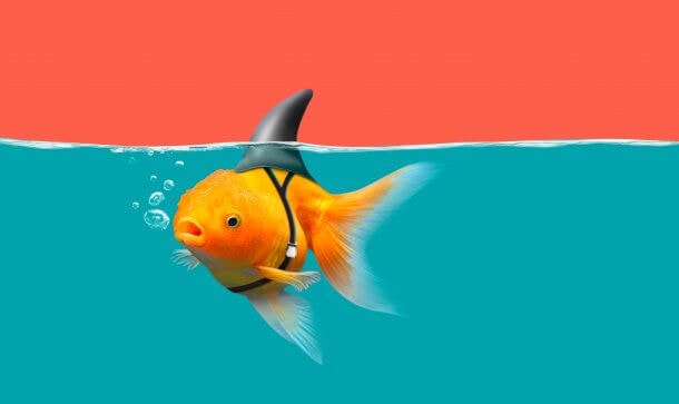 Nodes über ChainLink: Wie die Börse Huobi das Vertrauen fördern will Goldfisch mit Haifischflossen schwimmen in grünem Wasser und rotem Himmel, Goldfisch mit Haifischflossen