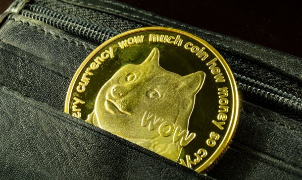 Dogecoin: Musk sorgt mit Post für 14 Prozent Kursanstieg ogecoin is a modern way of exchange and this crypto currency is a convenient means of payment in the financial