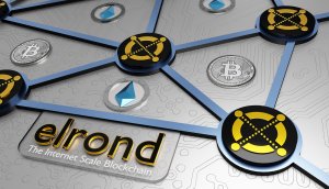 3D-Darstellung von Elrond, einem Blockchain-Netzwerk