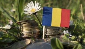 Romanian flag with stack of money coins with grass and flowers