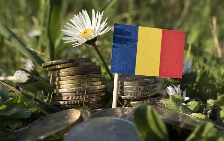 Romanian flag with stack of money coins with grass and flowers