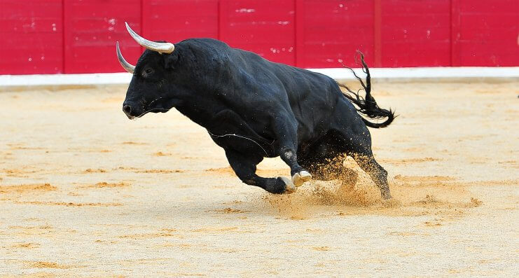 Eine Stier in einer Stierkampfarena