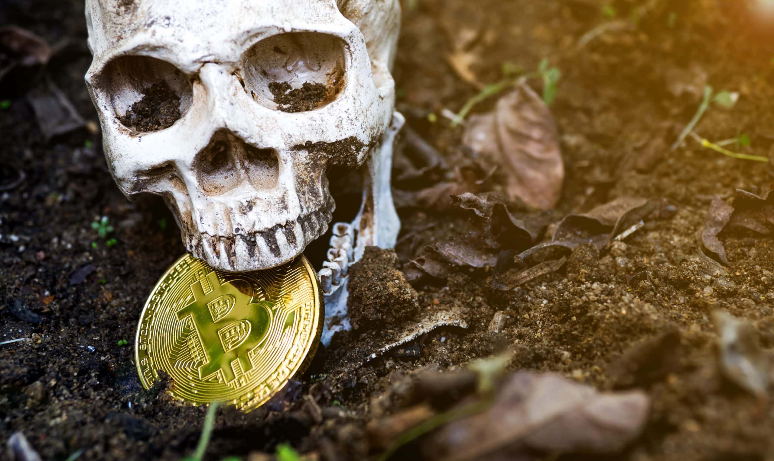 Künstlicher Totenkopf mit Bitcoin-Münze zwischen den Kiefern