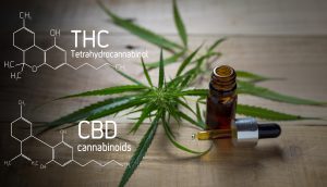 Sturkturformeln von THC und CBD vor Cannabis-Blättern und Phiole