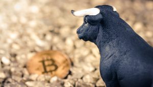 Bullen-Figur blickt auf Bitcoin-Münze