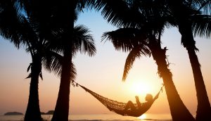 Bitcoin-Trader in Hängematte am Strand unter Palmen.