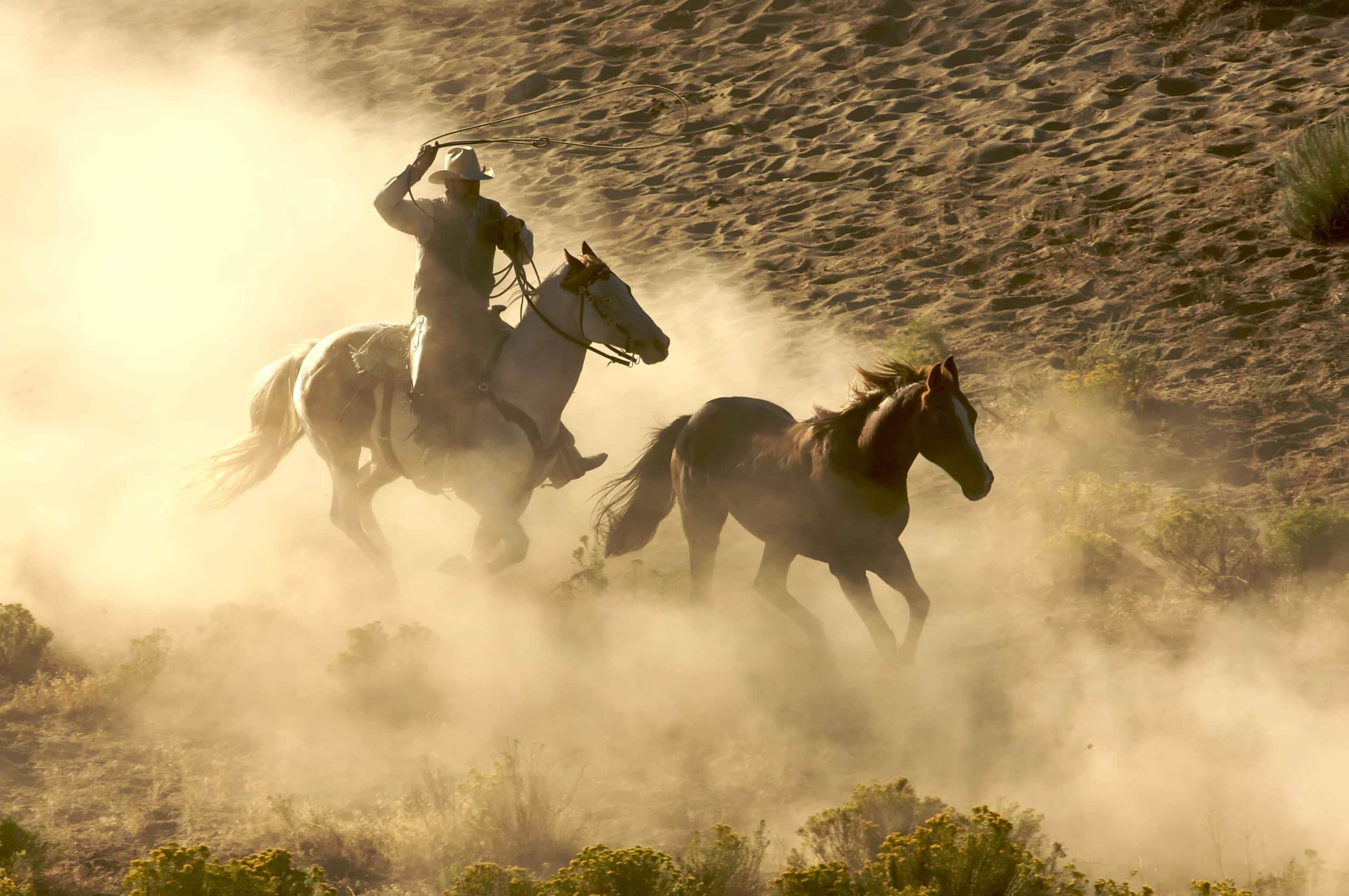 Cowboy reitet hinter Pferd