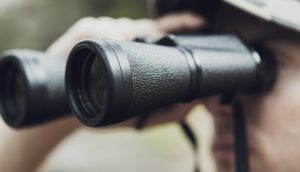 Person mit Fernglas auf der Jagd