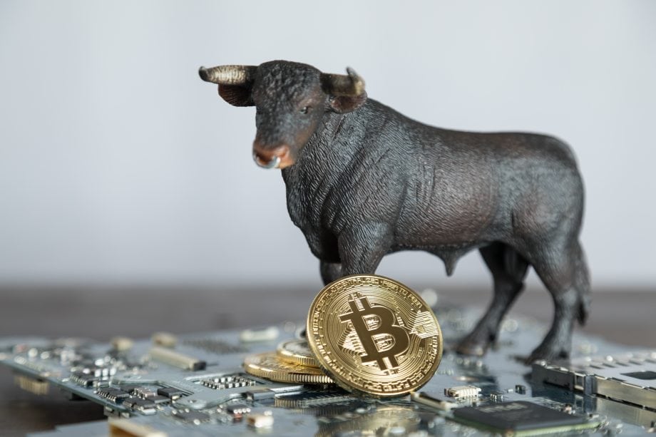 Bitcoin Mining weiter auf Bullenkurs – Das Meinungs-ECHO Bitcoin-Münze und kleine Bärenfigur auf einer Platine
