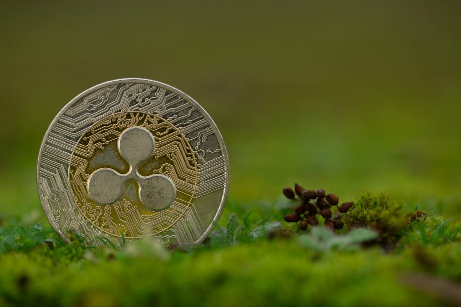 XRPL Foundation: Ripple kehrt sich nicht von XRP ab Nahaufnahme einer Ripple (XRP) Münze im Gras
