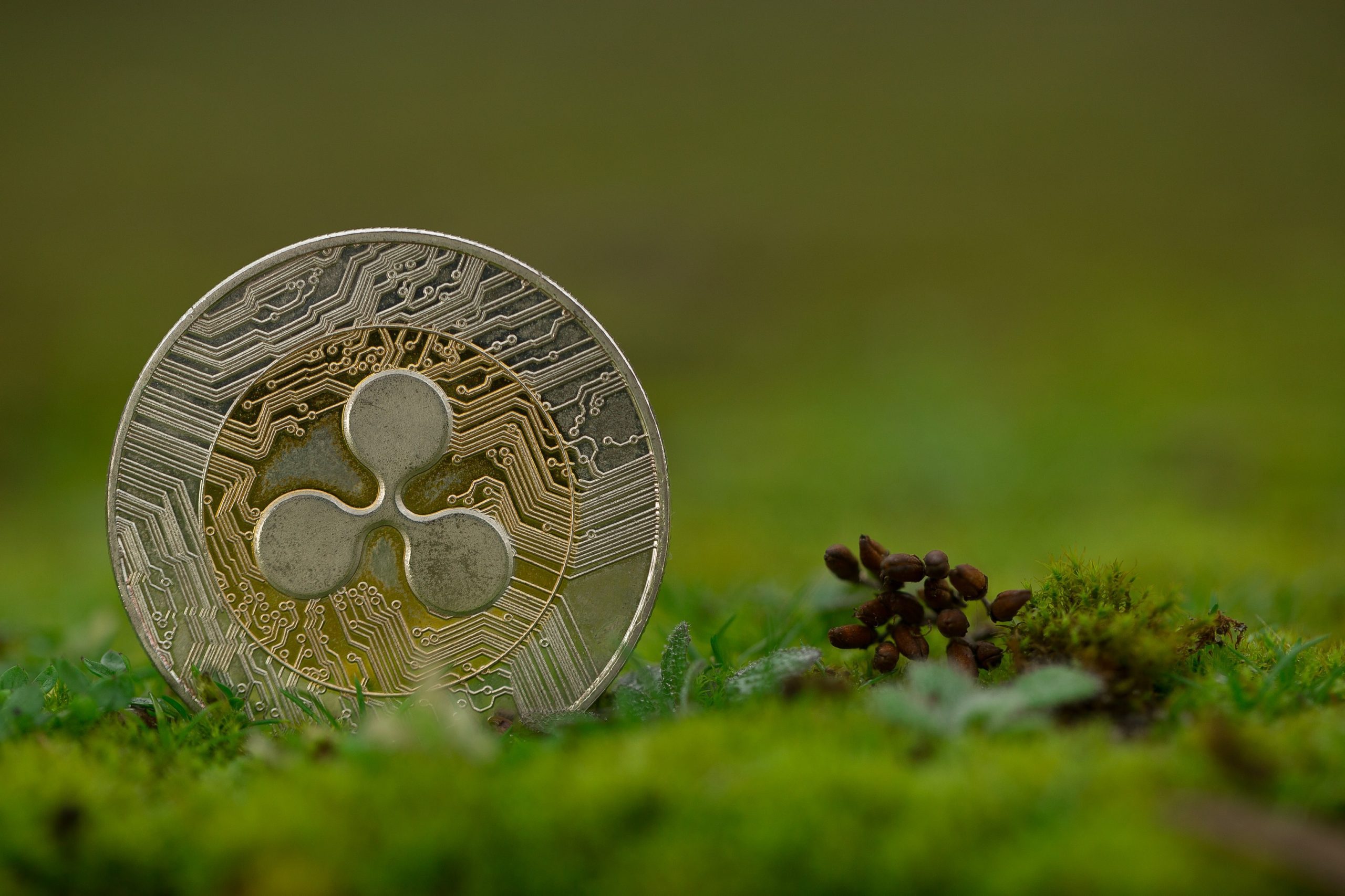 Nahaufnahme einer Ripple (XRP) Münze im Gras