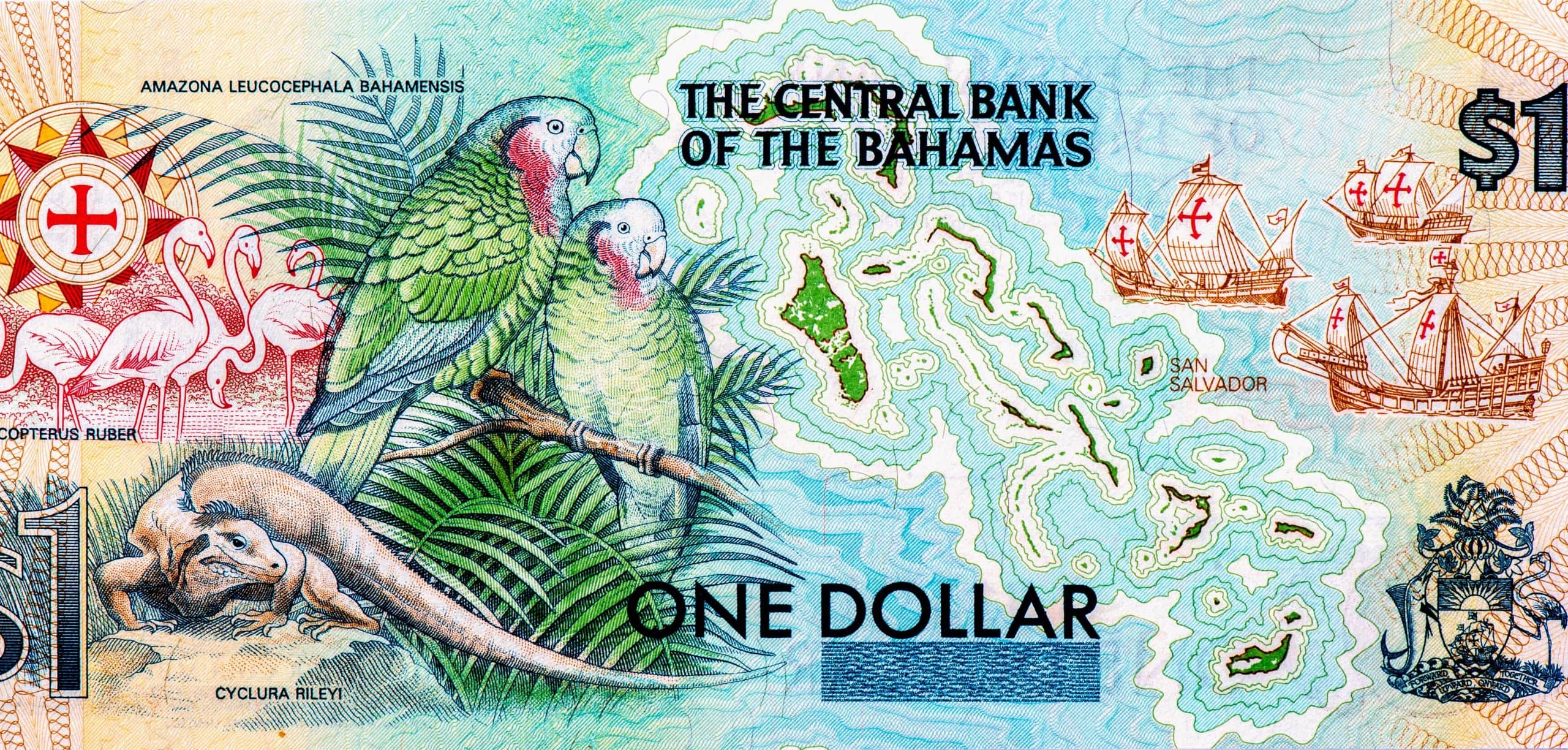 Eine (analoge) Bahamas-Dollar-Note