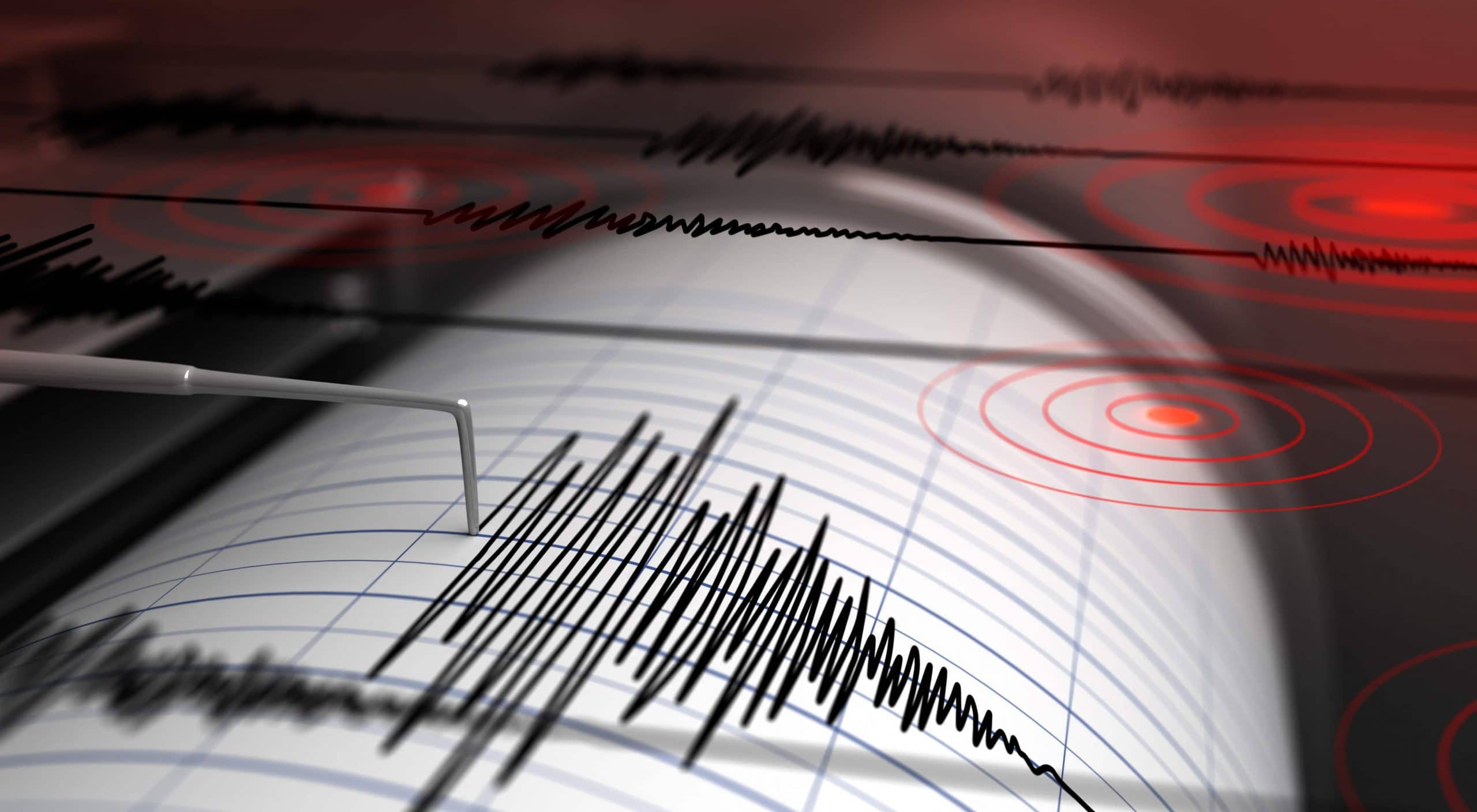 Tsunami Seismograph schlägt aus