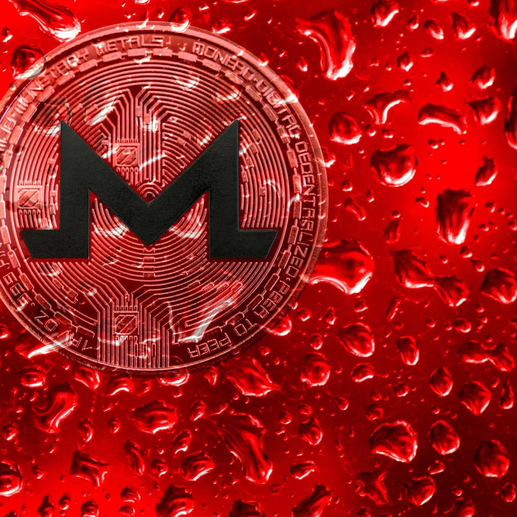 Monero: Binance delistet XMR – Privacy Coin bricht ein