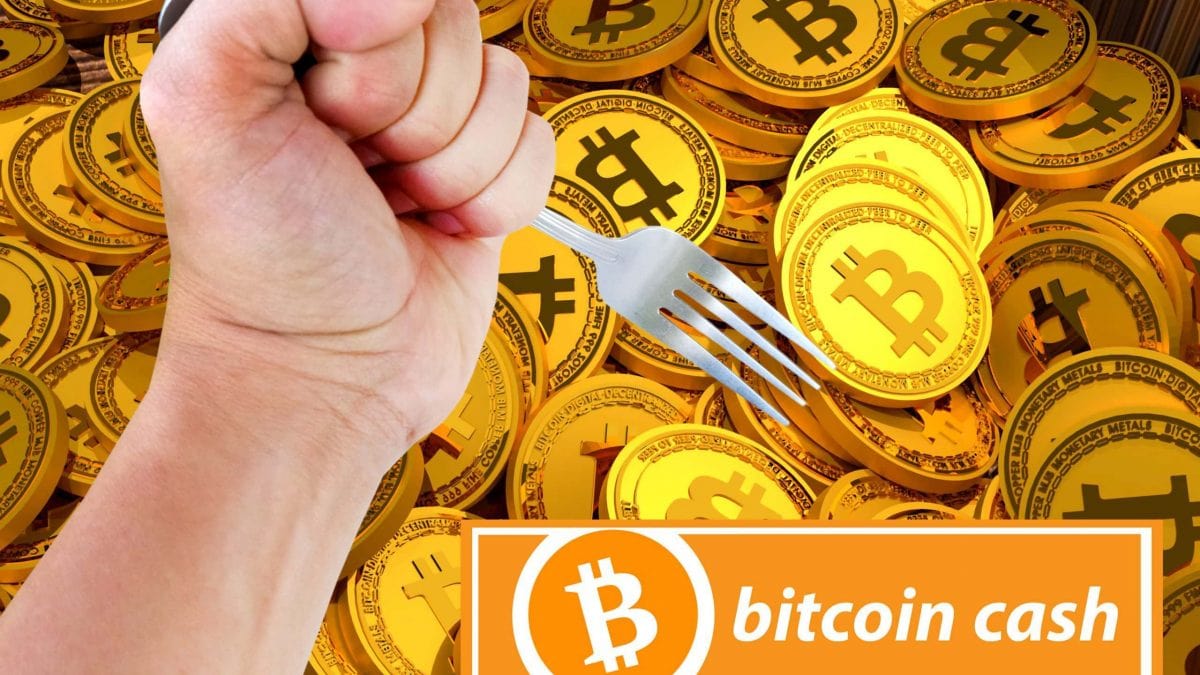 Aktuelle Bitcoin Cash- News | BTC-ECHO
