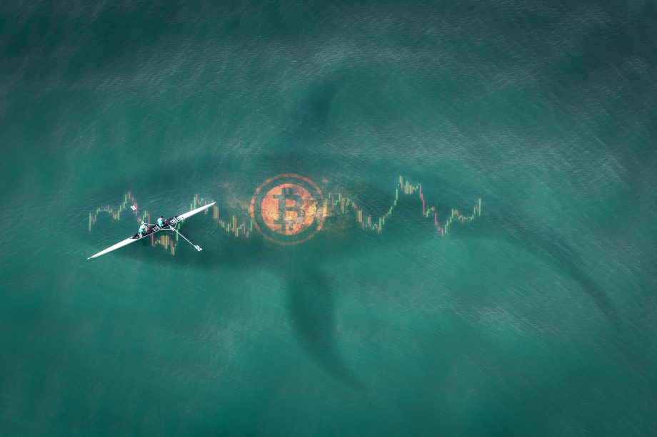 500-Millionen-US-Dollar-Investment: Hedgefonds plant Bitcoin-Mega-Coup Umriss eines Wals unter einer Bitcoin-Münze, daneben ein Kanufahrer