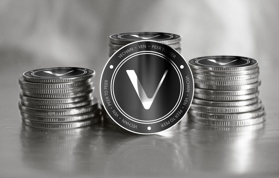VeChain: neue Kleidungskollektion mit The Bitcoin Movement VeChain-Münzen in Graustufen