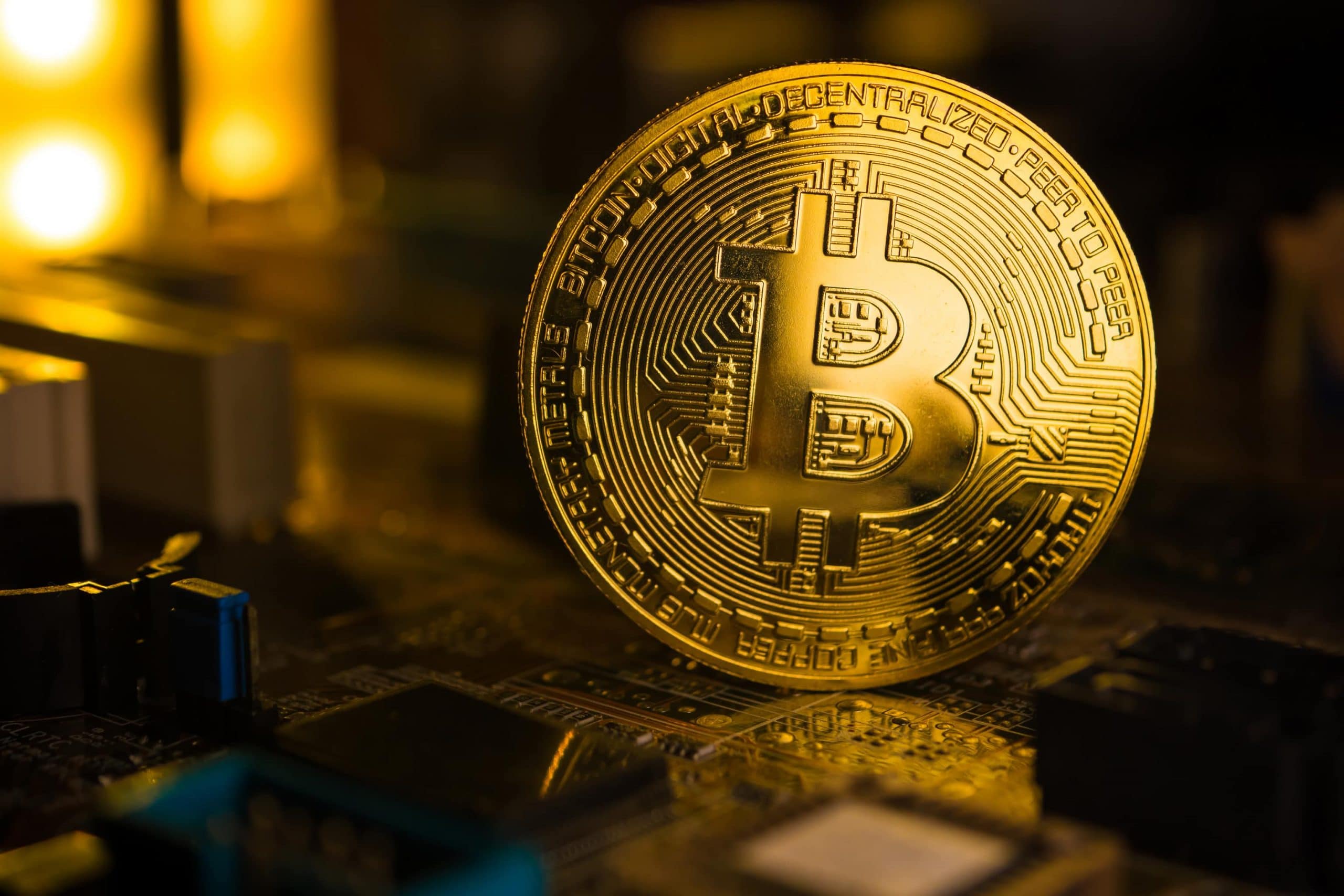 www.btc-echo.de