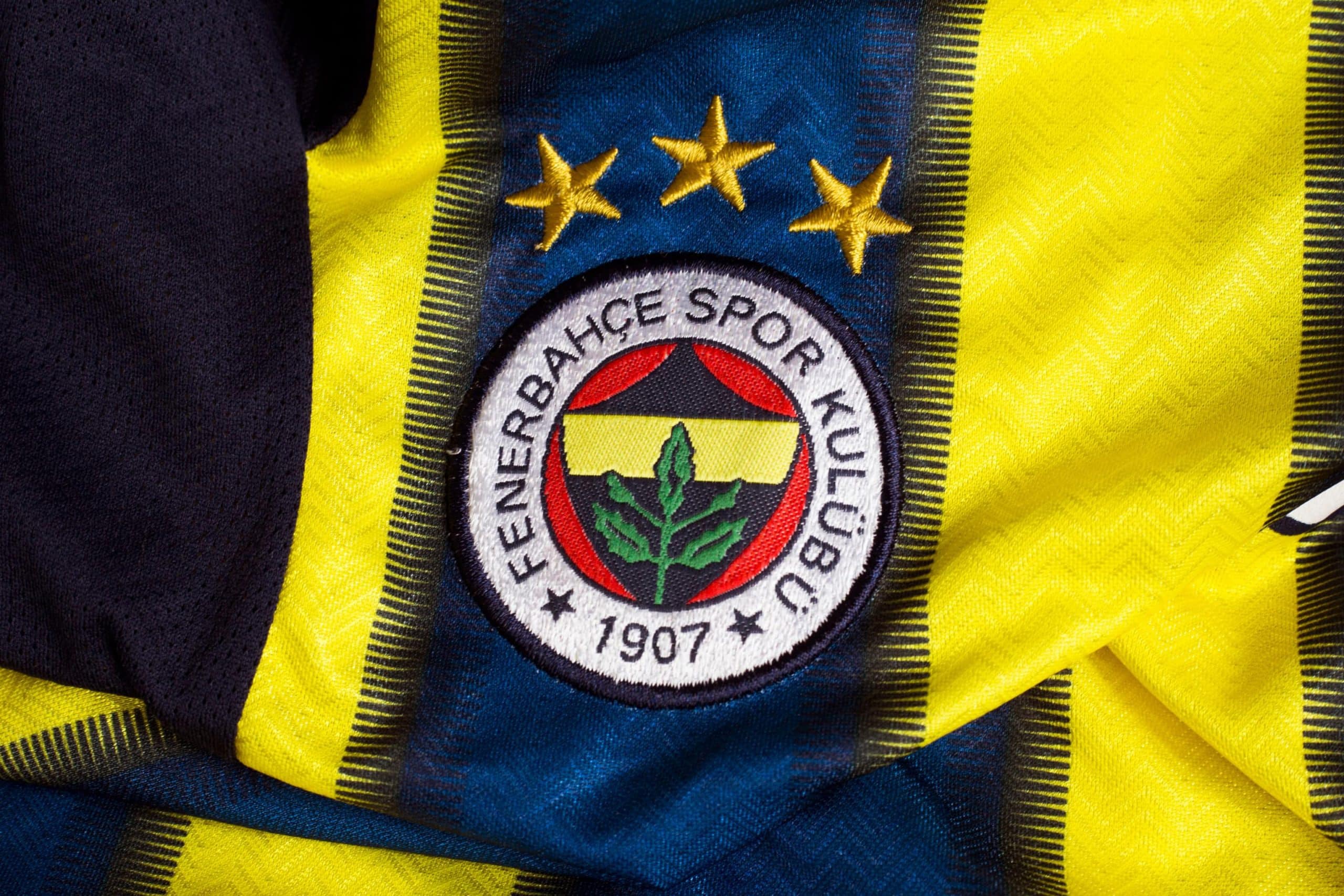 Logo von Fenerbahce Istanbul