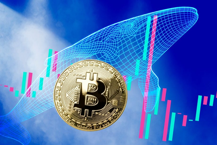 One River Digital: Krypto-Investments 2021 bei einer Milliarde US-Dollar Bitcoin-Münze, Walsilhouette und Kurs-Kerzen (Grafik)