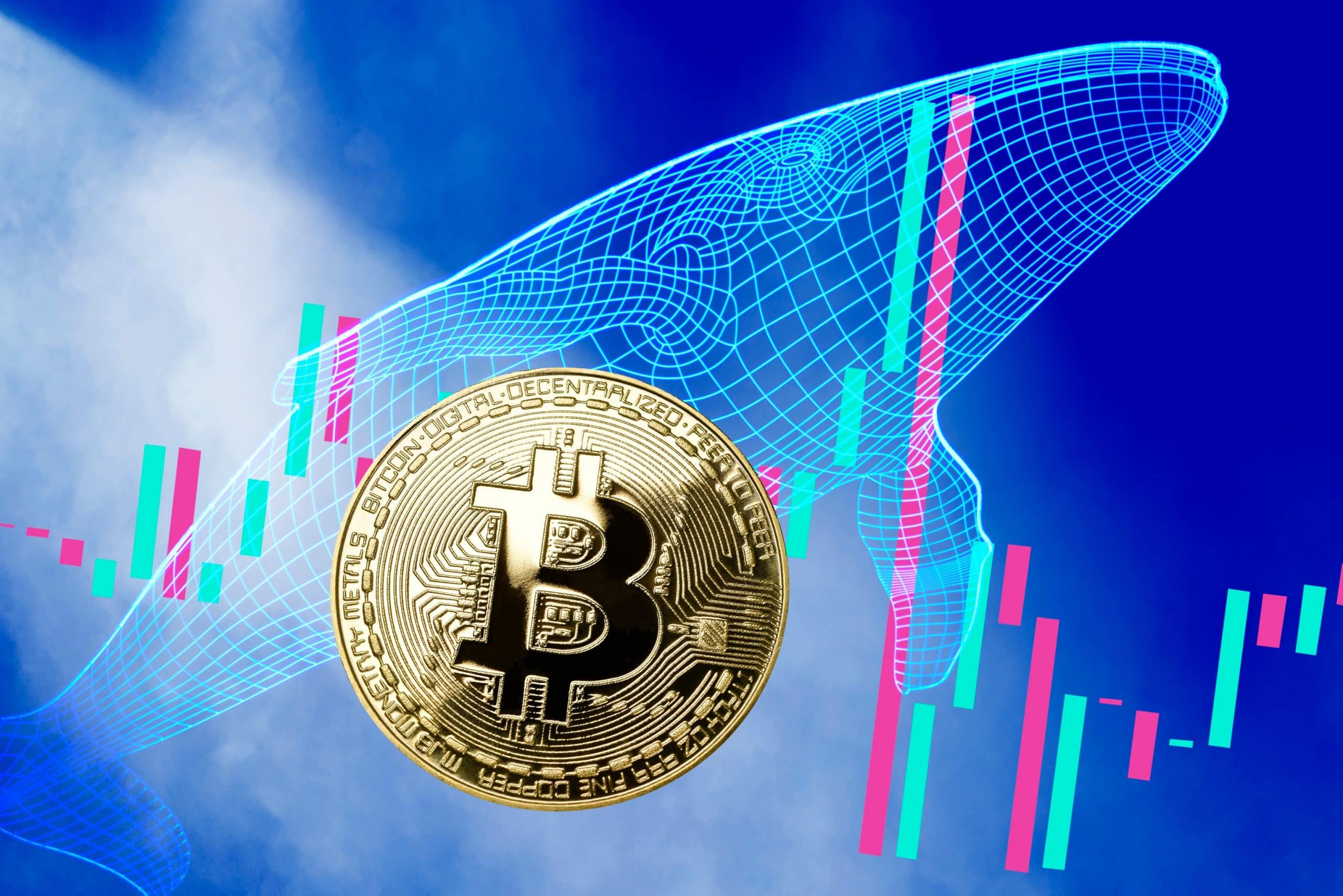 Bitcoin-Münze, Walsilhouette und Kurs-Kerzen (Grafik)