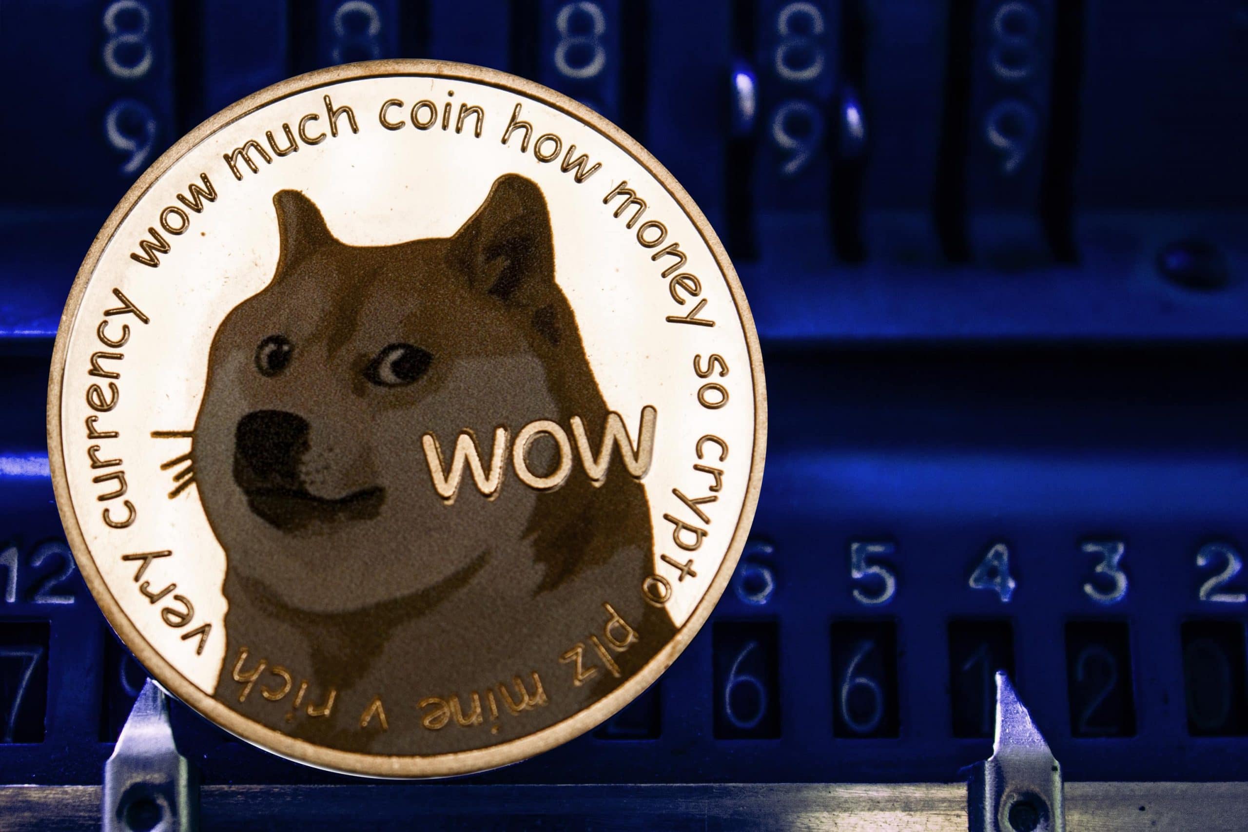 Elon Musk und ein Erotiksternchen heizen Dogecoin ...