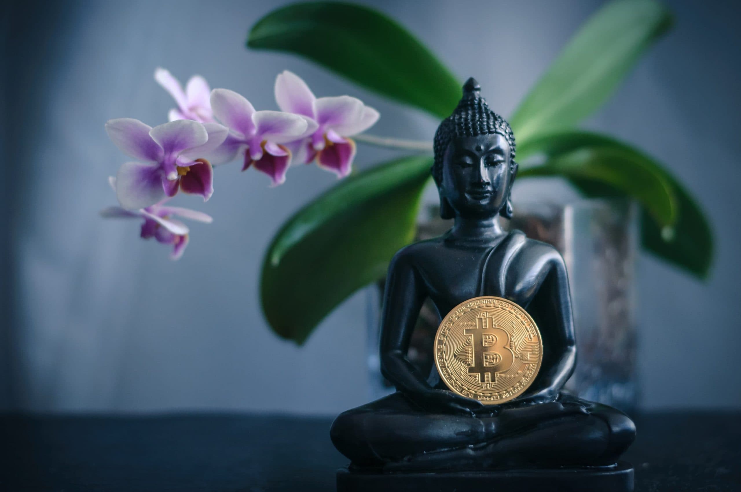 Eine Bitcoin-Münze im Schoß einer Buddha-Statue, im Hintergrund eine Orchidee