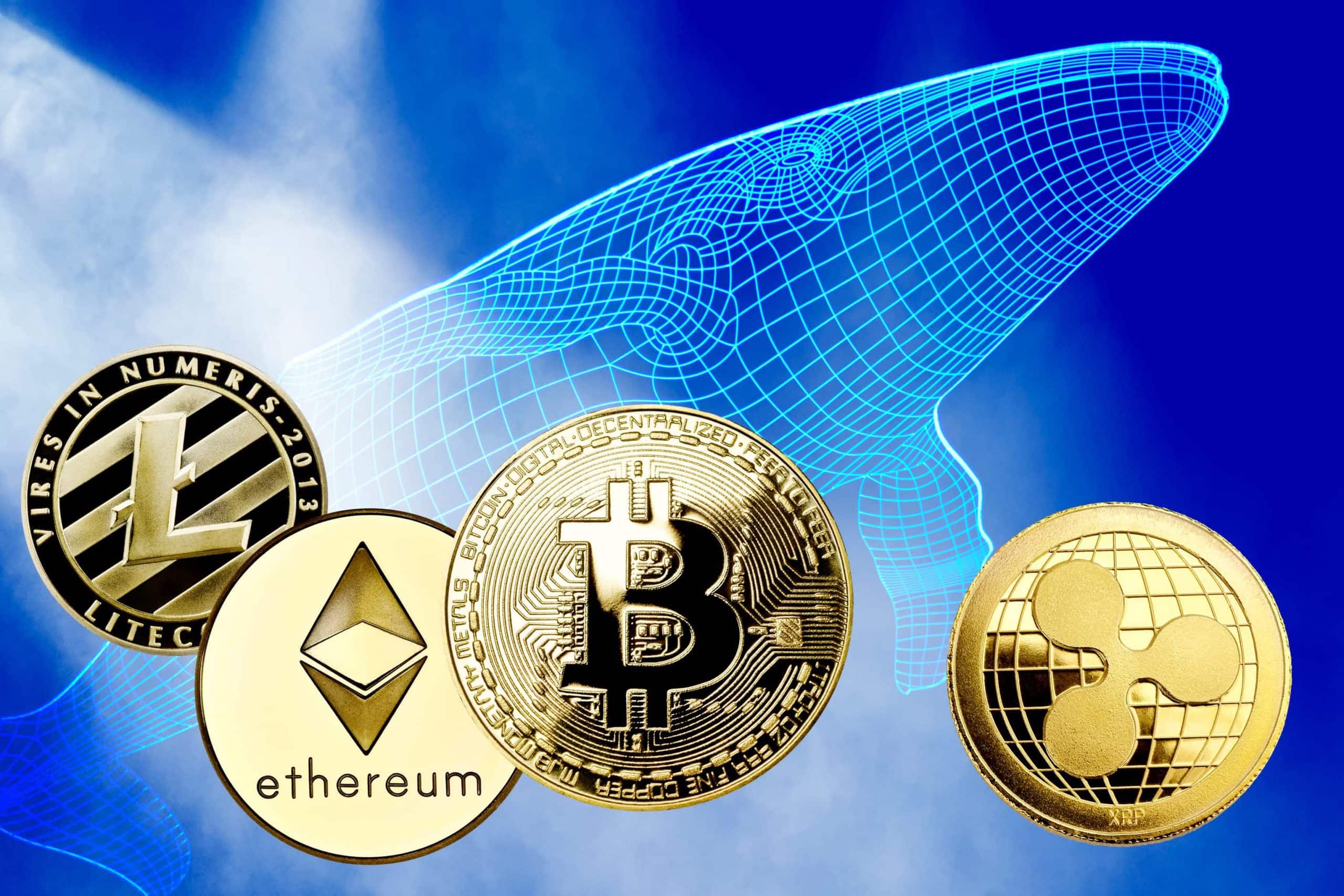 Litecoin, Ethereum, Bitcoin und Ripple. Dahinter ist ein Wal zu sehen.