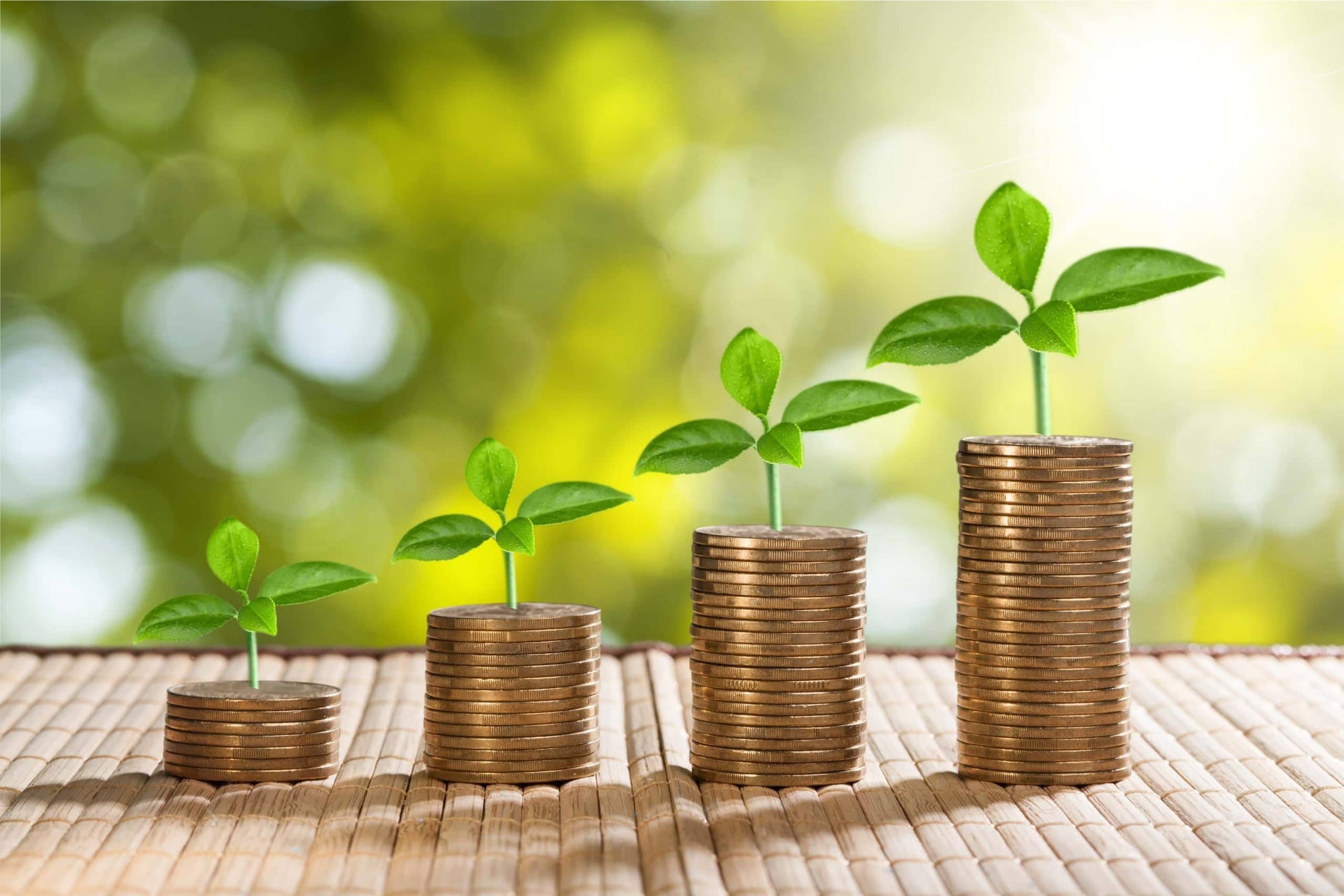 Bitcoin verpasst? So kannst du immer noch massive Renditen erzielen Growth