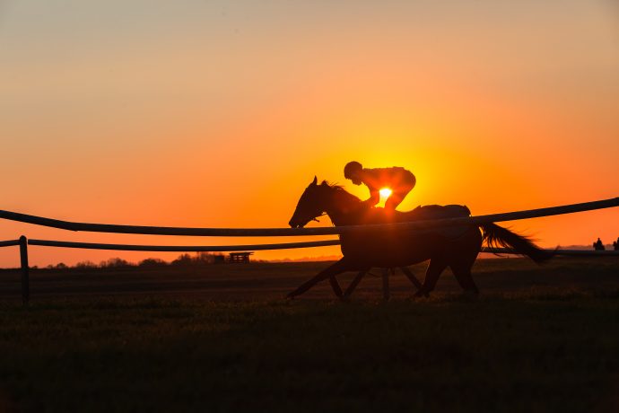 Bitcoin-Reiter auf seinem Pferd