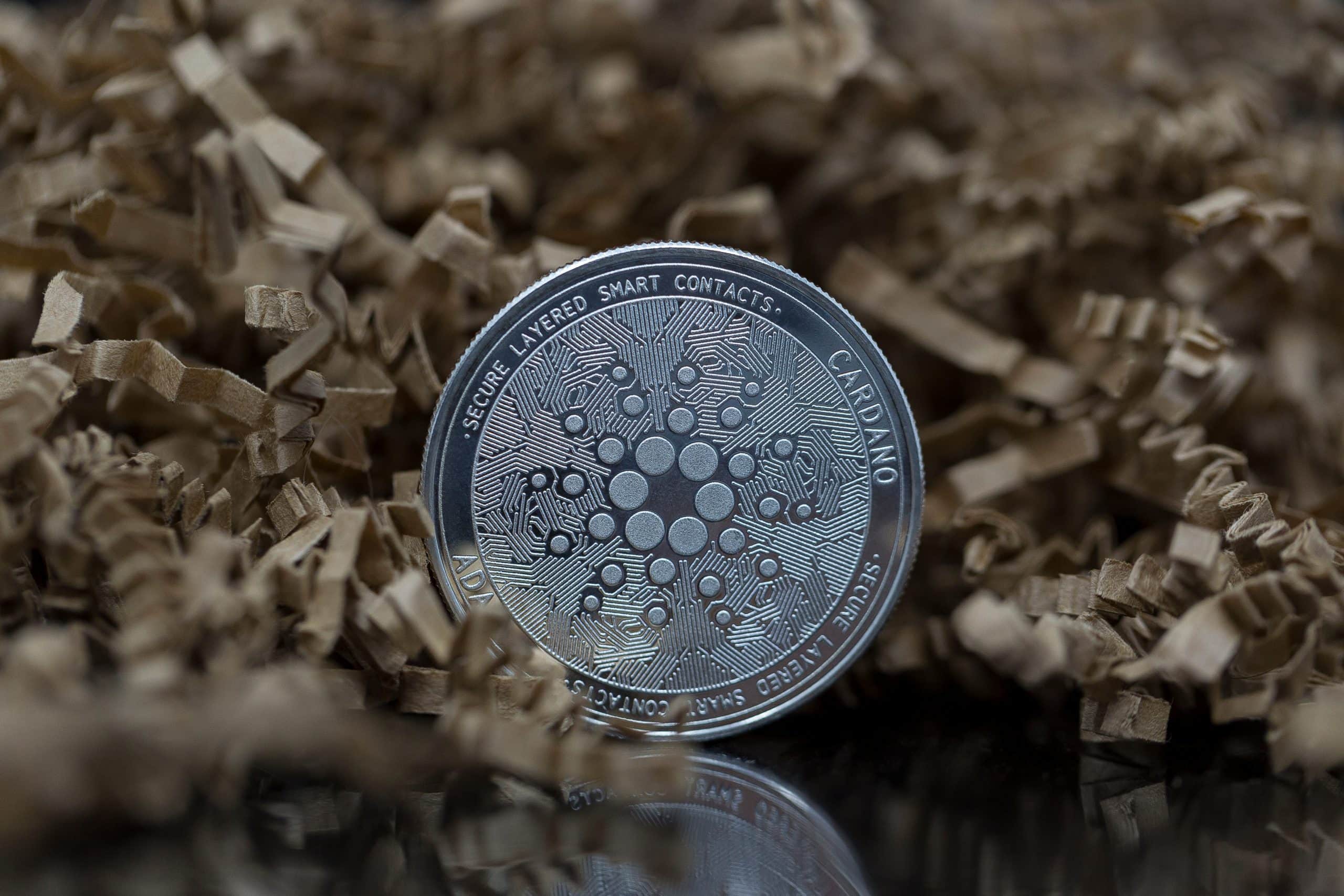 Cardano