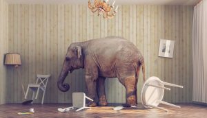 Bitcoin ist ein Elefant im Raum.