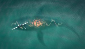 Wal schwimmt unter Segler neben einem Bitcoin Symbol