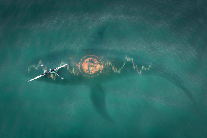 Wal schwimmt unter Segler neben einem Bitcoin Symbol