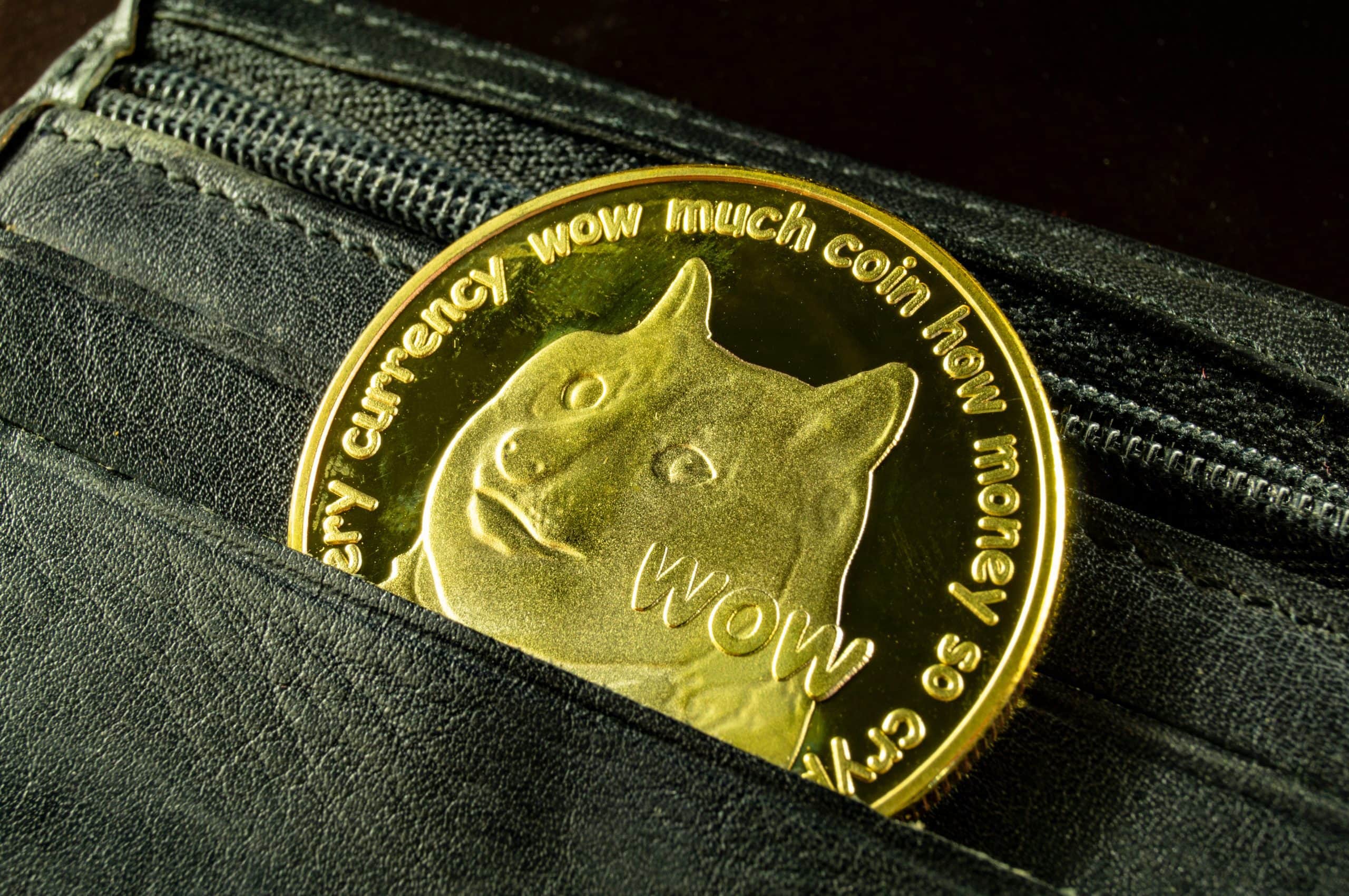 Dogecoin Coin in der Hosentasche