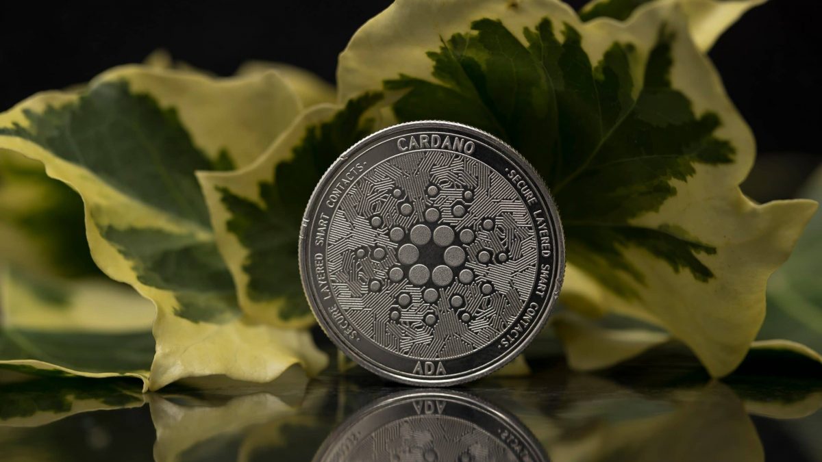 Neue Peer To Peer Technologie Soll Cardano Noch Dezentraler Machen