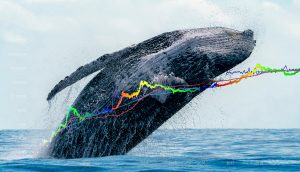 Wal der sich aus dem Wasser erhebt, darüber das Stock-to-Flow-Modell für Bitcoin von PlanB