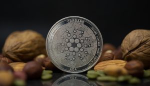 Cardano-Münze neben Nüssen