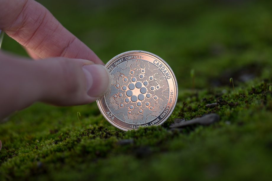 Cardano: Über 5.000.000 äthiopische Schüler erhalten Blockchain-ID Cardano-Münze in freier Wildbahn