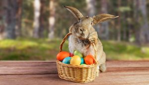 Der Osterhase mit einem Korb voll Bitcoin