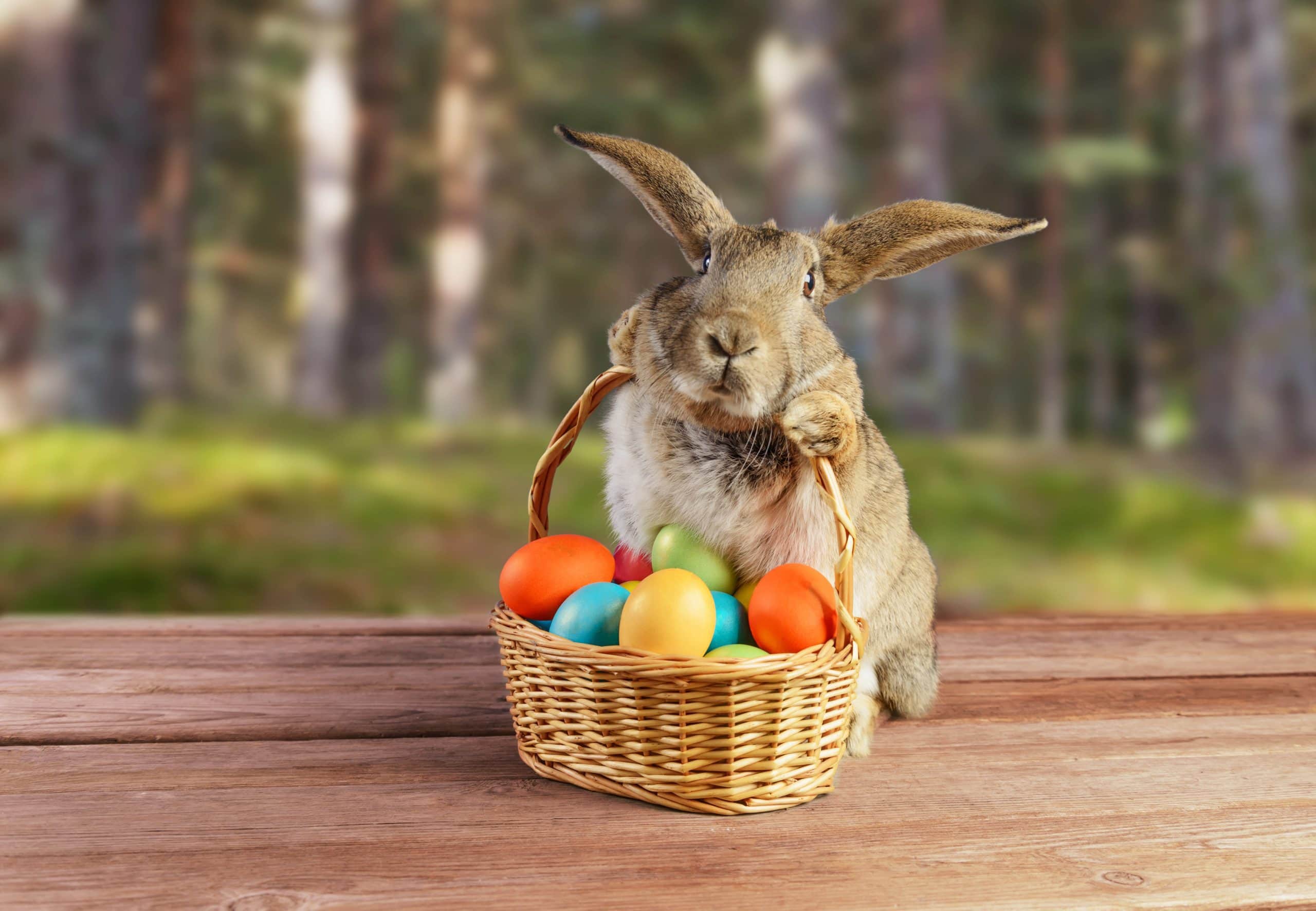 Der Osterhase mit einem Korb voll Bitcoin