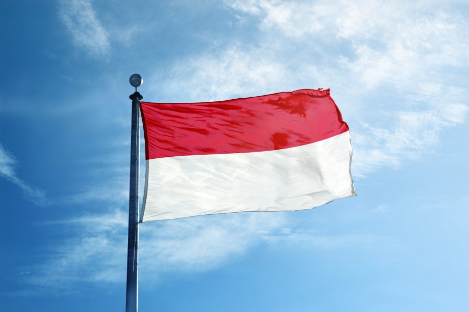Dieses Projekt will mit Gold-Token Indonesien erobern Die indonesische Flagge.