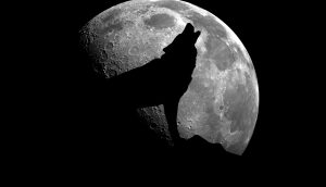 Dog barking at the moon.