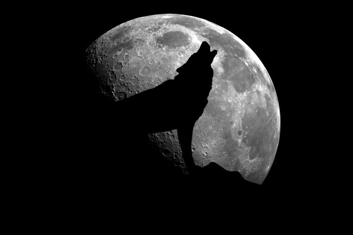 Dog barking at the moon.