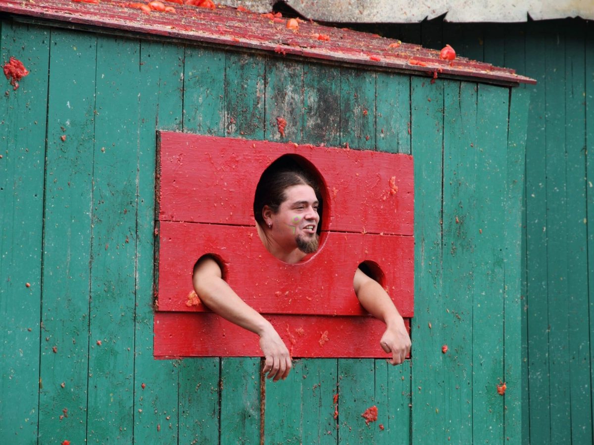 Occam: Cardano-Ethereum-Brücke erntet heftige Kritik für OCC Sale