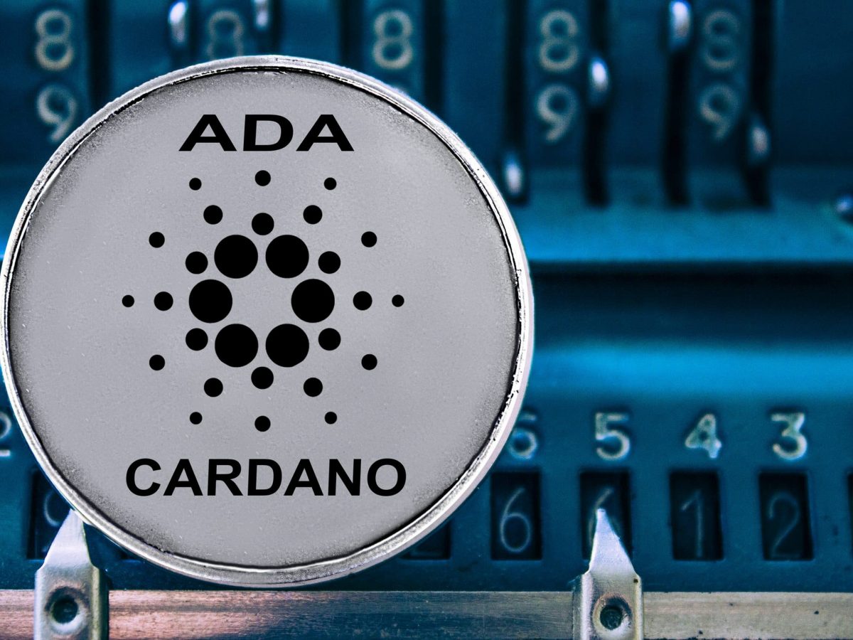 Eine Milliarde Cardano Nutzer Hoskinson Traumt Von Der Weltblockchain