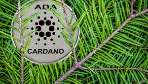 Cardano-Münze von Zweigen bedeckt
