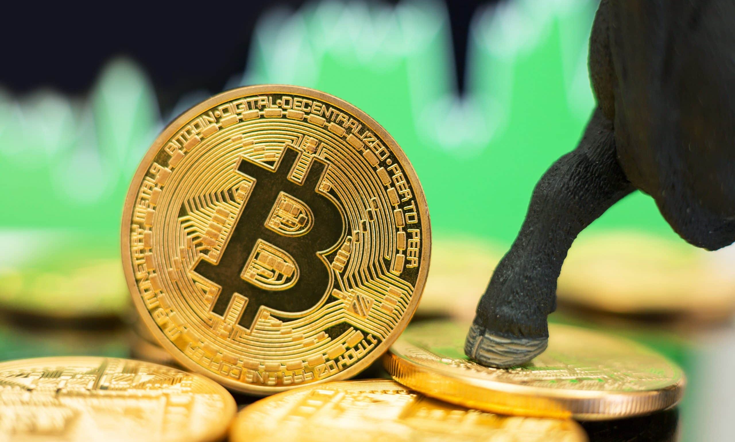 Bull Run_Bitcoin
